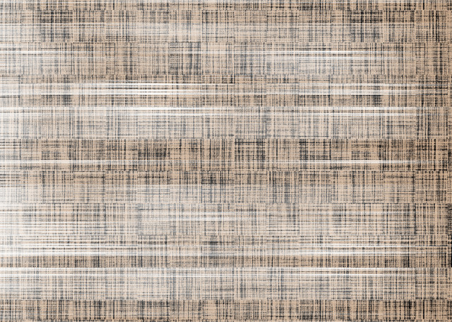 shutterstock 2416146889.jpg
