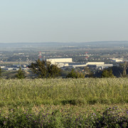 IMG-0532
