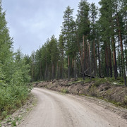 IMG 4963