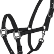 riim4