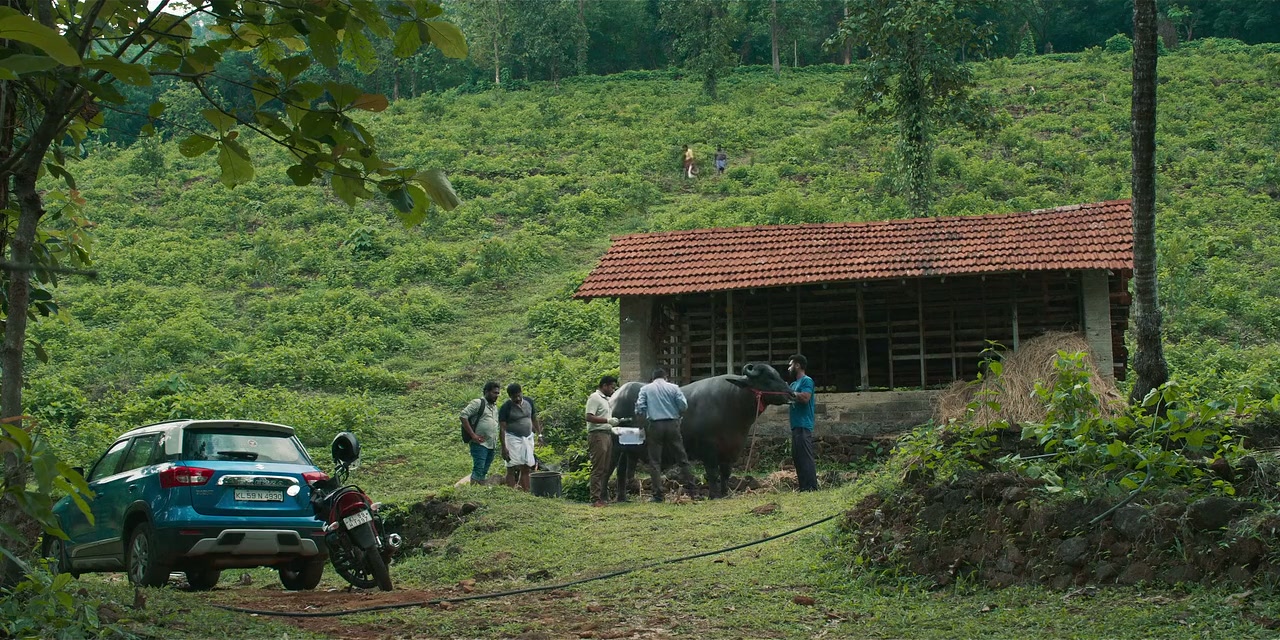 Palthu Janwar Screenshot