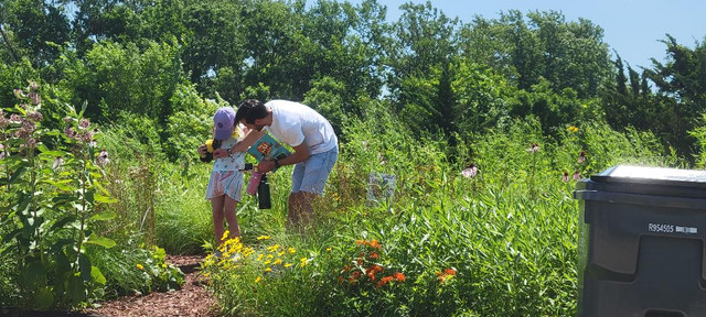 Prairie-Pollinator-6-25-3