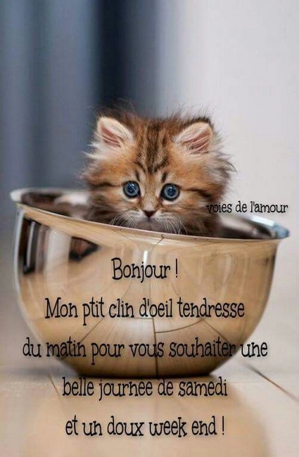 fd3e8707a4b59700f45ac50f3cd3252c