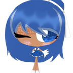 Barra