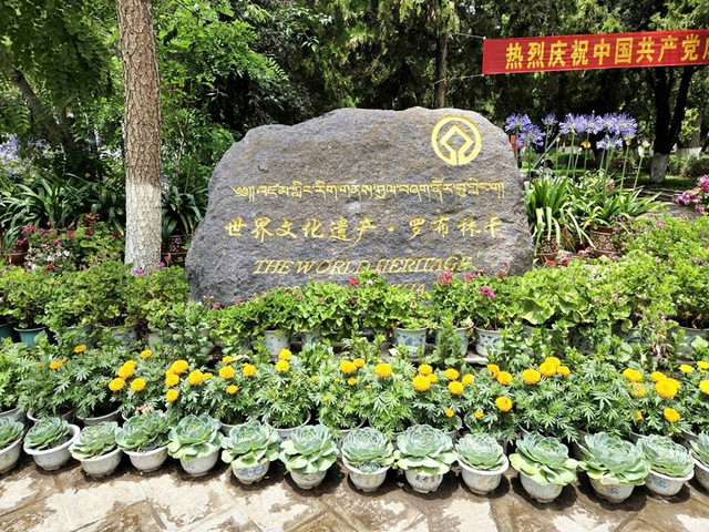 96.jpg