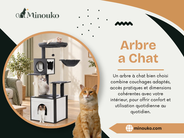 Arbre a Chat.jpg