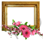 cluster-frame-43