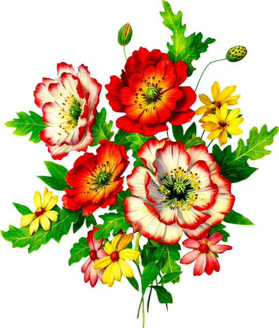 a6fa22fac57501dc9bad03975c2351e6.png