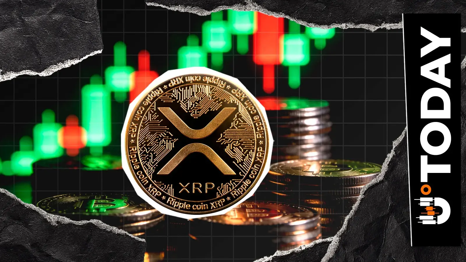 XRP Volatility Dips as Whales Accumulate Millions