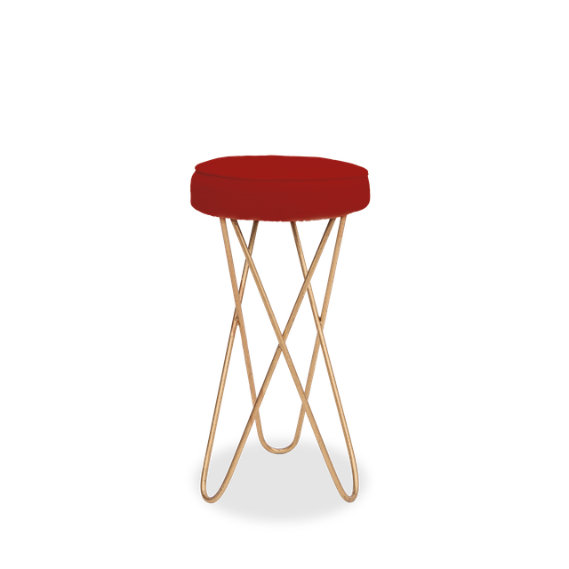 camila rojo.png