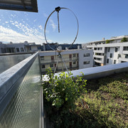 IMG-2907