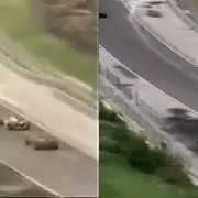 Video 20260810 234647 00001.webp