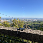 IMG-1903