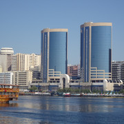 DSC08185
