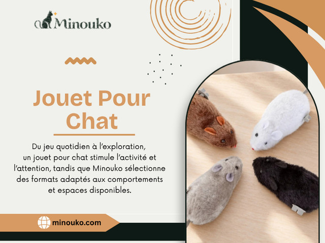 Jouet Pour Chat.jpg