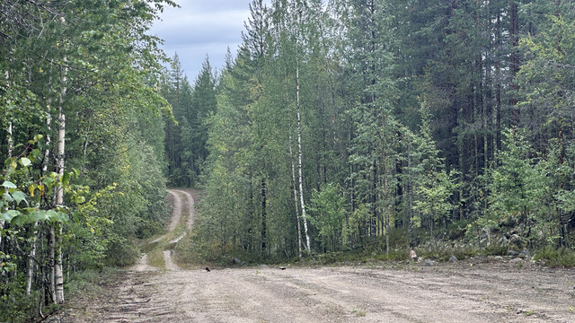 IMG 5118.jpg