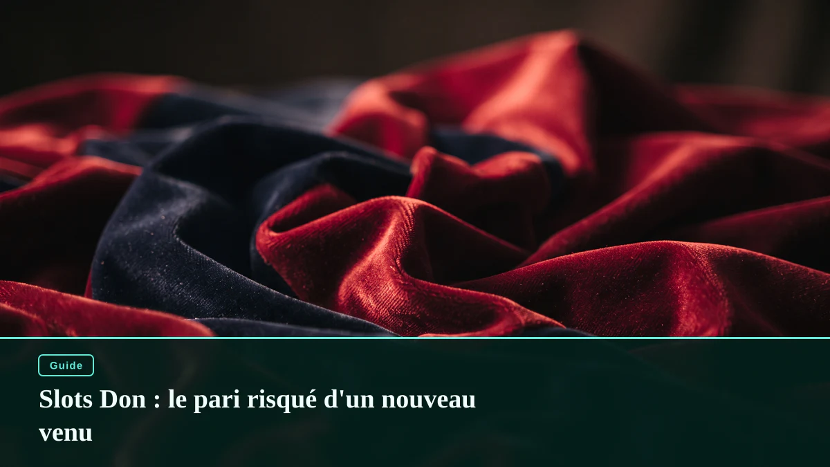Slots Don : le pari risqué d'un nouveau venu