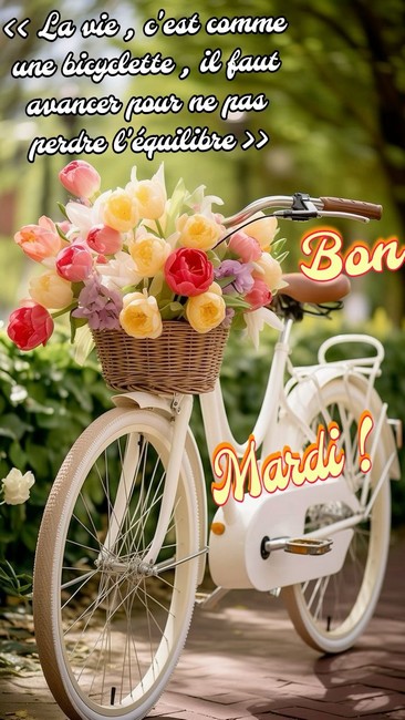 b692d32b821941fd19181ec6d2ced8e2