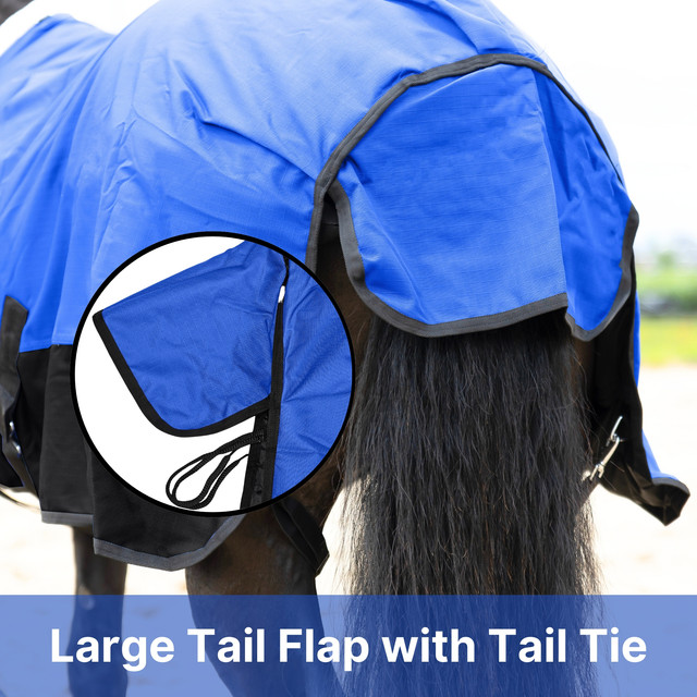 Large Tail Flap