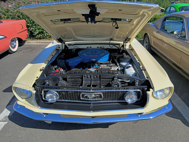 Mustang-302