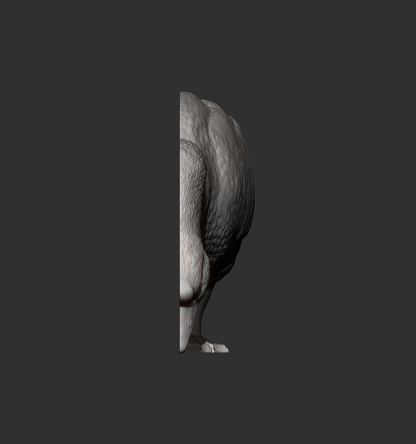 ZBrush-D-ocument