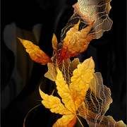 9d34e01a22285e5cdf10d2d758dad1f8.png
