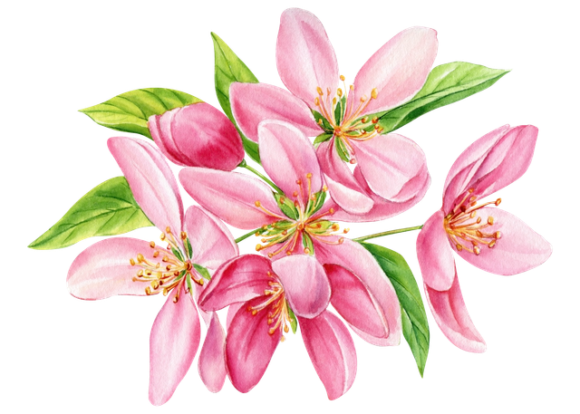 Adobe Stock 560012981.png