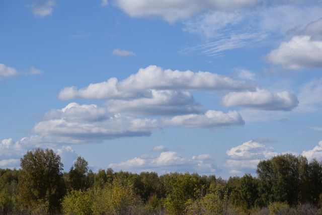 DSC 0541.jpg