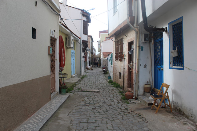IMG-3559