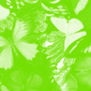 00-11