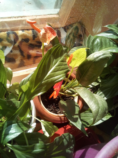 IMG-20220401-090043.jpg