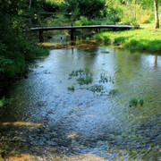 IMG-1711