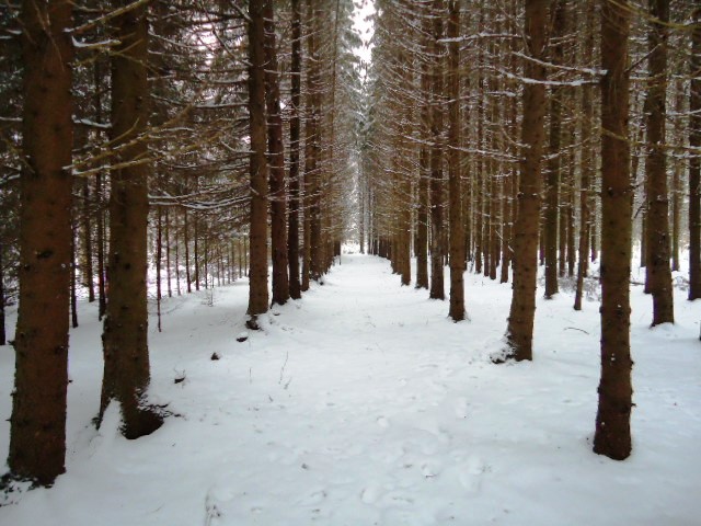 IPB Image