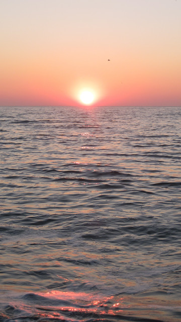 IMG-0738