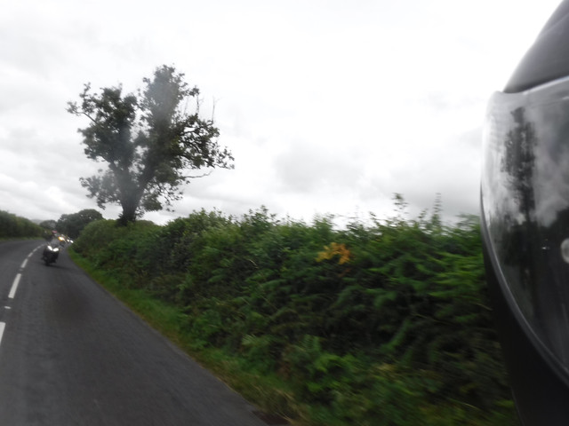 DSCF9142.jpg