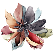 e7fc2c8410c54f603aceaca6c63cb2c8