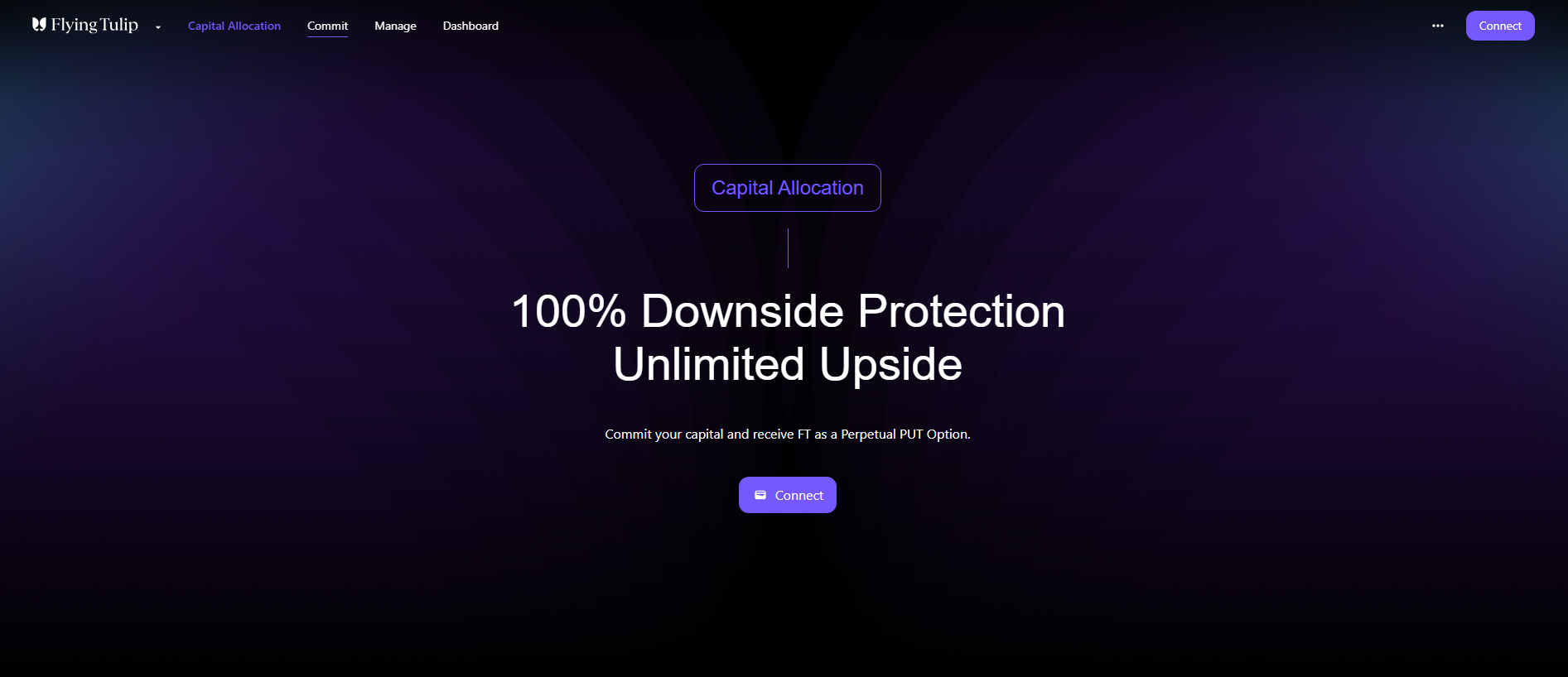 Stored capture of allocation-flyingtulip.click