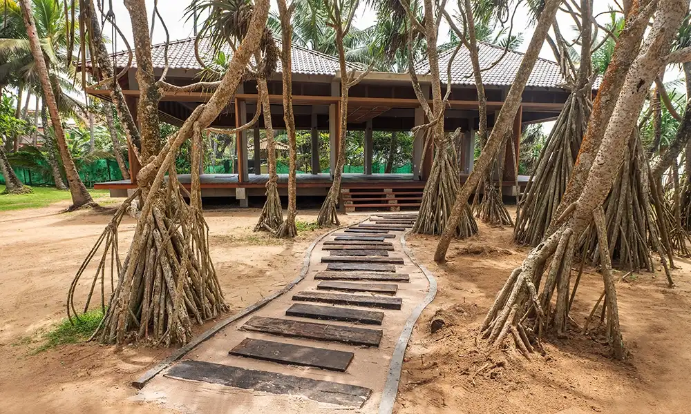 Rejuvenating Retreat in Sri Lanka