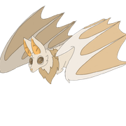 fruit-bat
