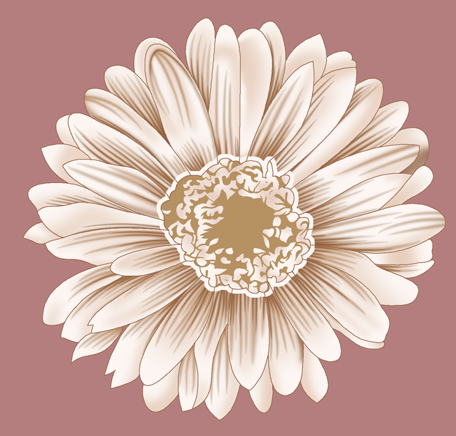 2c570d993c7955f0a3a7431e841ef2c8.png