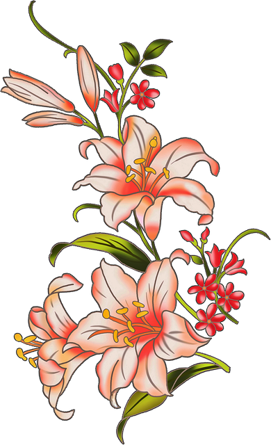 44529d91c7e85e792fbf36dbe16cbb21.png