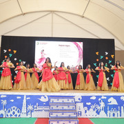 IMG 7987