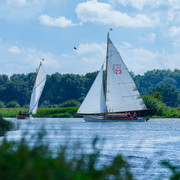DSF7822