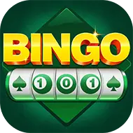 Bingo 101