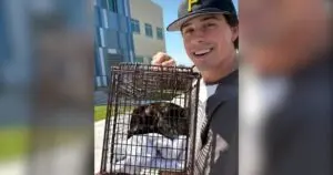 Beloved Cat Rescued After Apartment Fire
