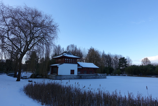 DSC09814.jpg