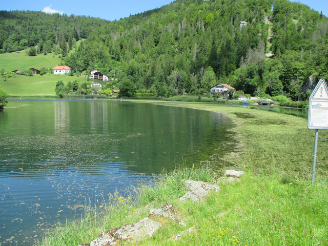 IMG 3674.jpg