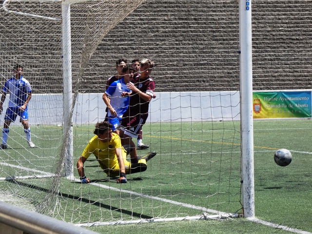 P1010147 resultado.jpg