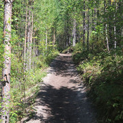 IMG 0349