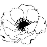 7e2c4928633c20aee57784c6fd9d626f